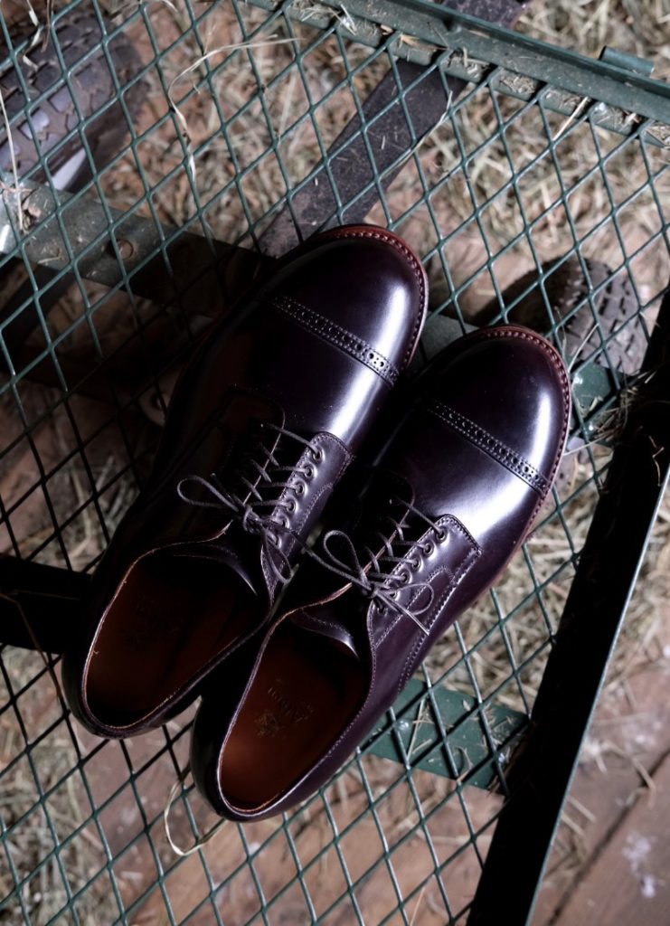 alden patton color 8 shell cordovan blucher